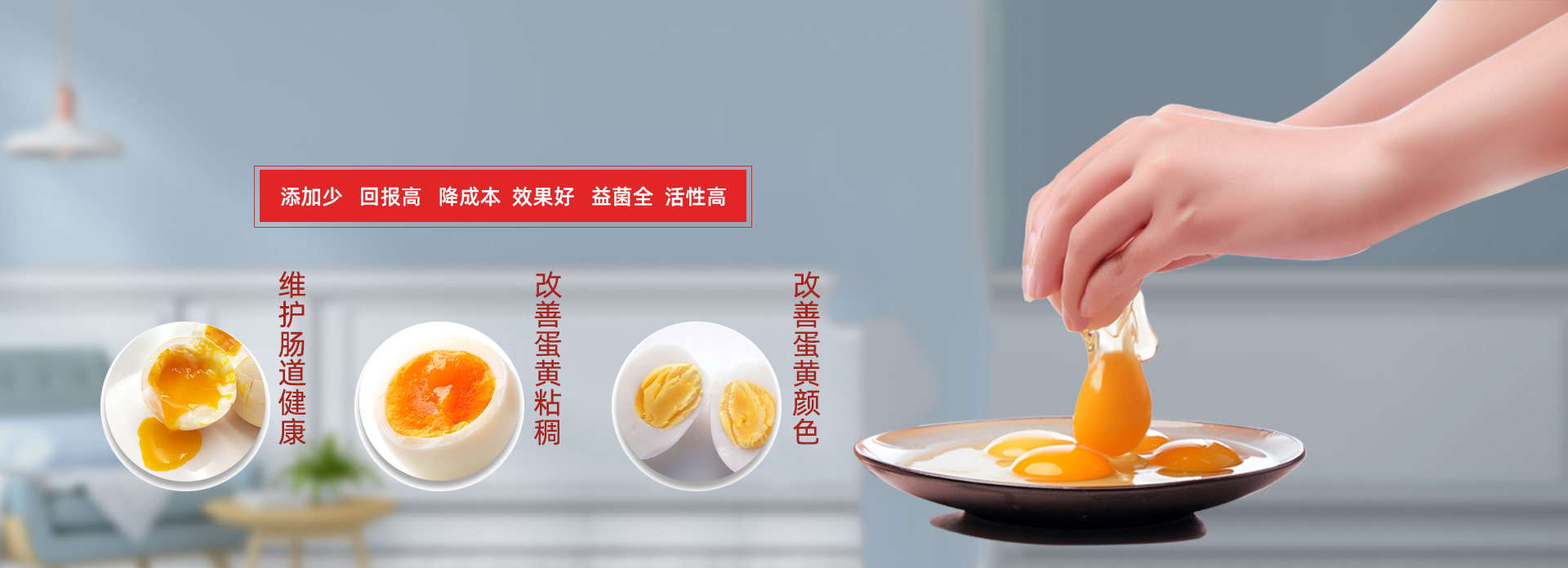 发酵辣椒粕
